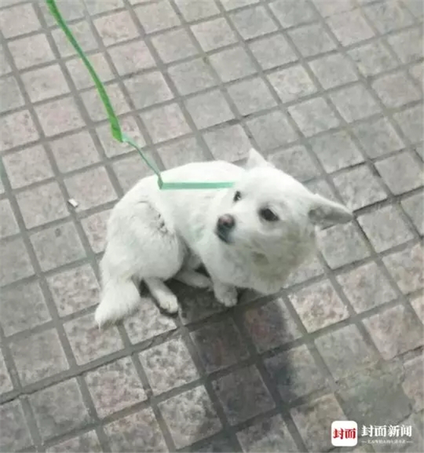 6.webp.jpg