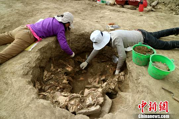 考古人员在发掘清理.JPG