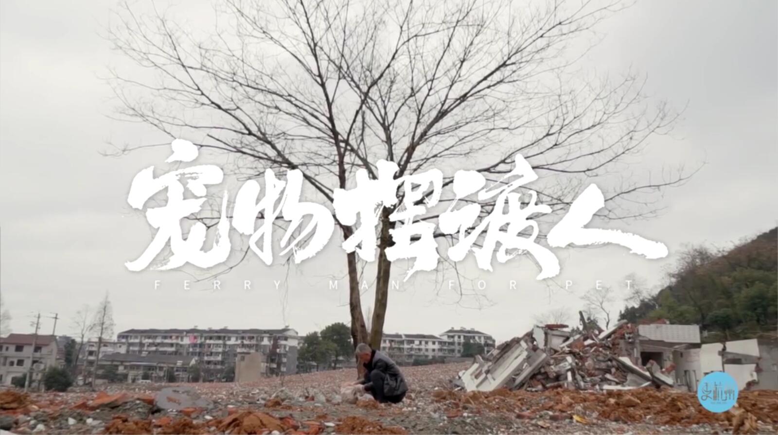 QQ截图20180205112452.jpg
