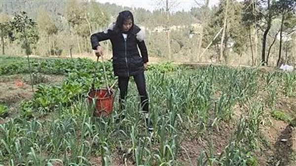 什么农活都干，是个“小大人”.jpg