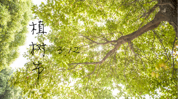 植树节-600.jpg