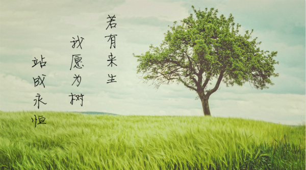 插图-原_600.jpg