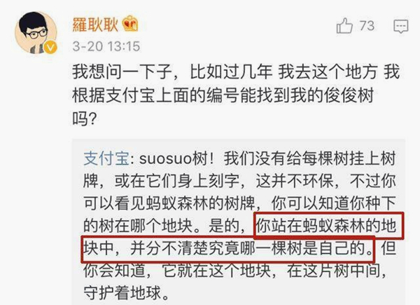 蚂蚁森林09.jpg