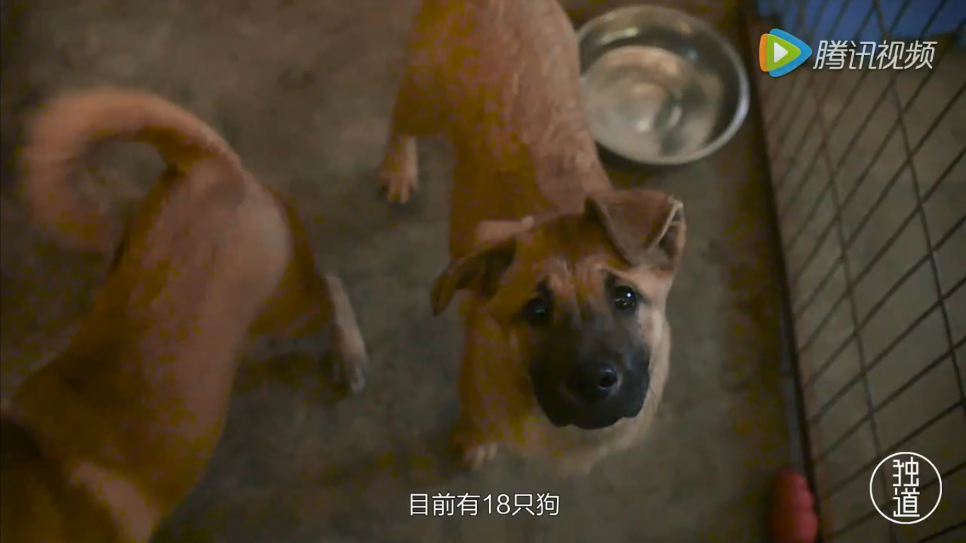微信截图_20180329111700.png