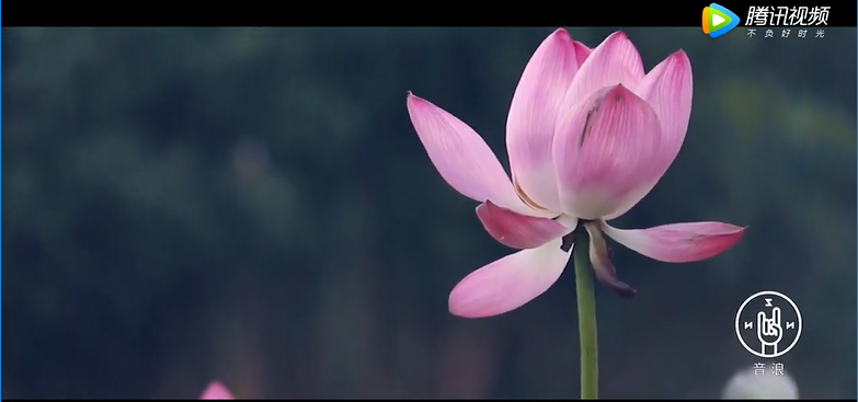 微信图片_20180408155427.png