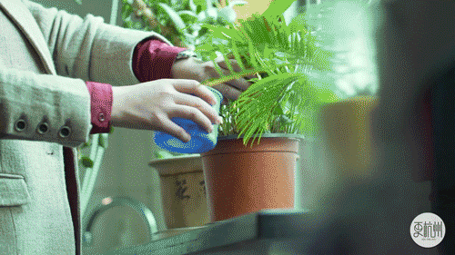 8b4a11c4a1764d34ab4adbe5a116dc1a.gif