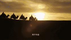 640 (11).gif