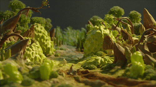 6dc799c2080b4840b0485436fcf434d5.gif