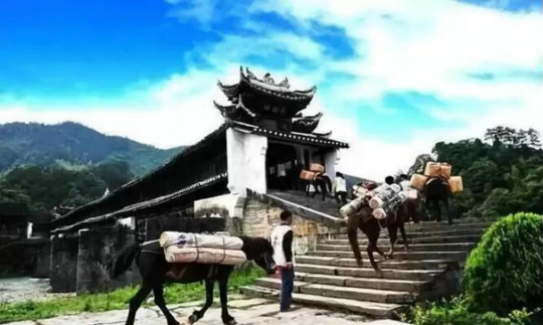 益阳.jpg