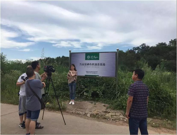 善德网26.jpg