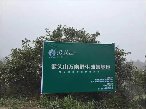 善德网27.jpg