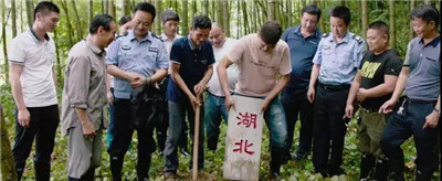 善德网04.jpg