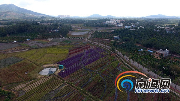 图302.jpg