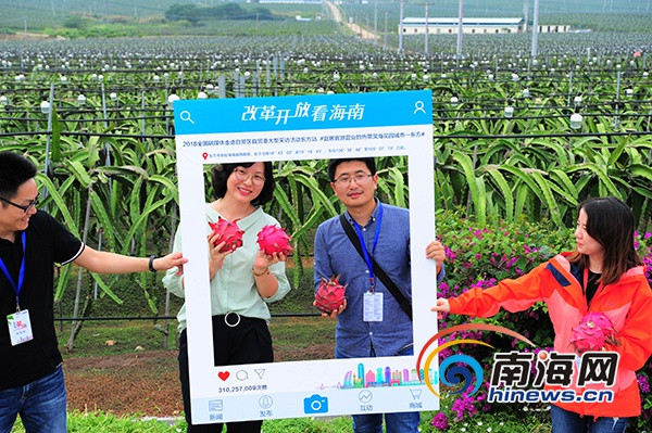 图008.jpg