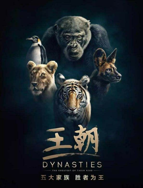 8最佳剪辑奖 王朝.jpg