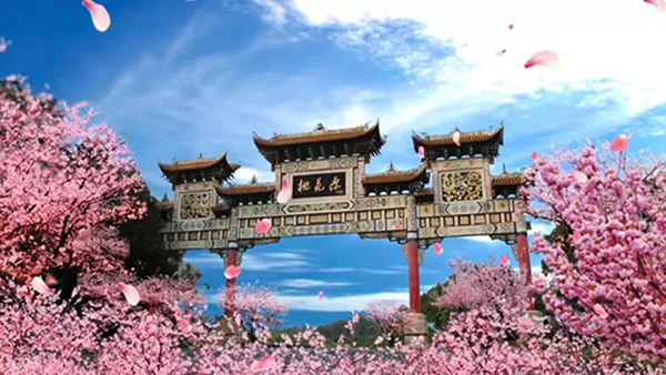 图片25.jpg