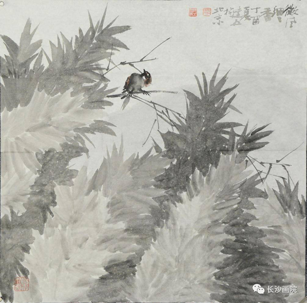 图片3_副本.png