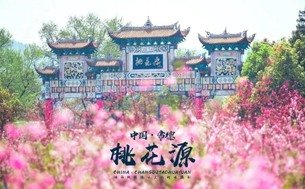 5_副本.jpg