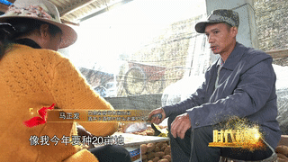 2.gif