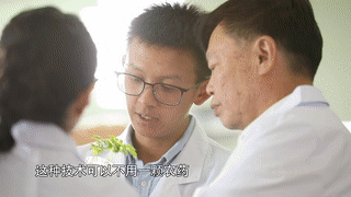 5.gif