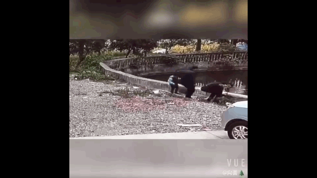 2.gif