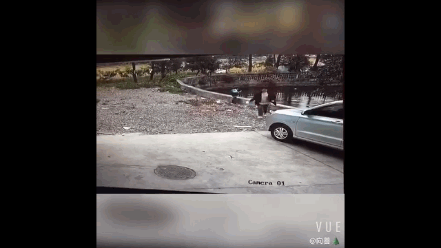 3.gif