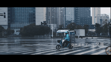 13.gif 13.gif
