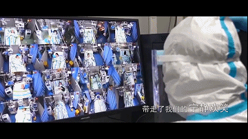 14.gif 14.gif