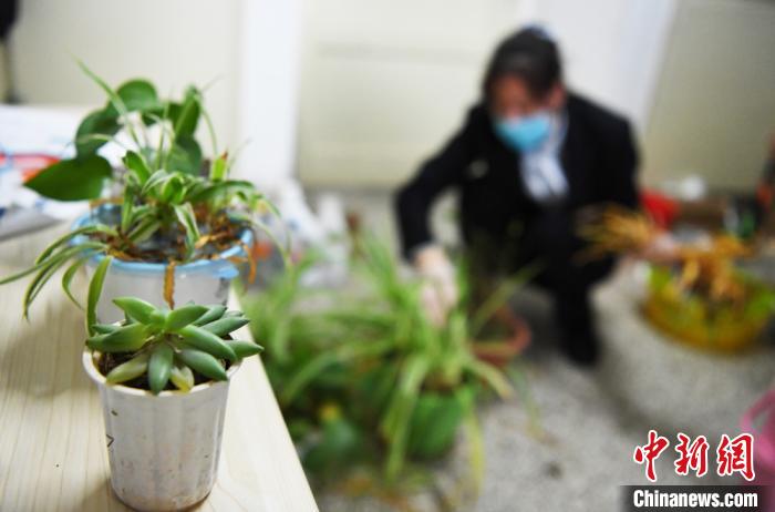 图为楼管阿姨帮同学们浇花。　杨艳敏 摄