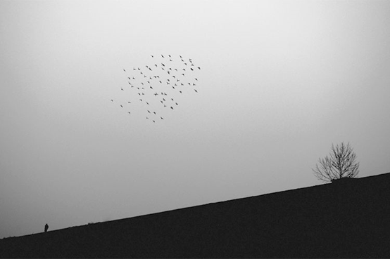 06.png