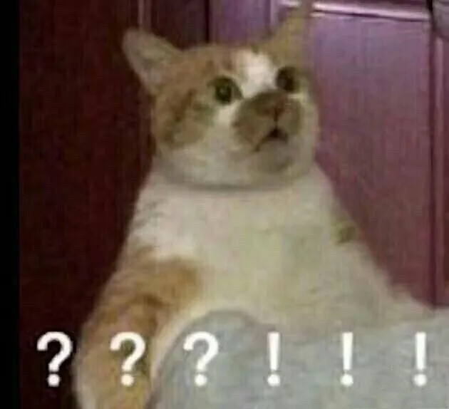 24.webp.jpg