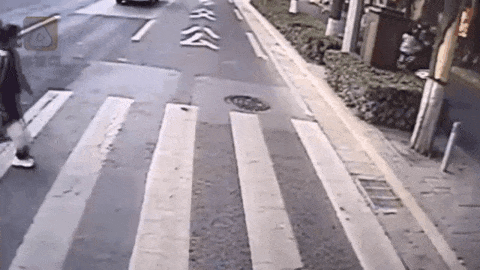 01.gif 01.gif