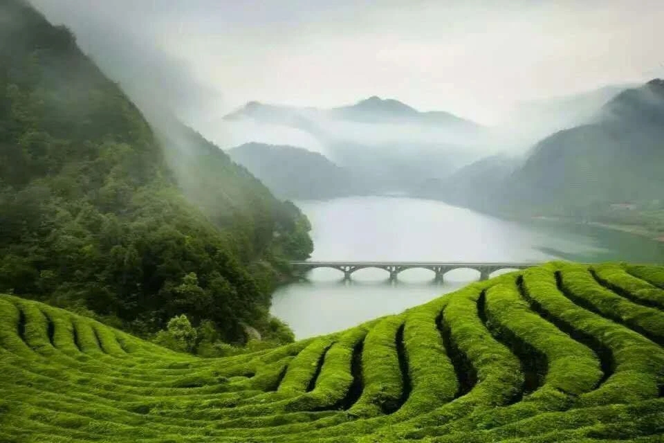 微信图片_20200518092300.jpg