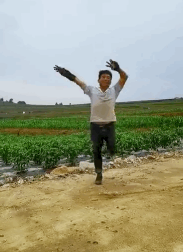 11.gif 11.gif