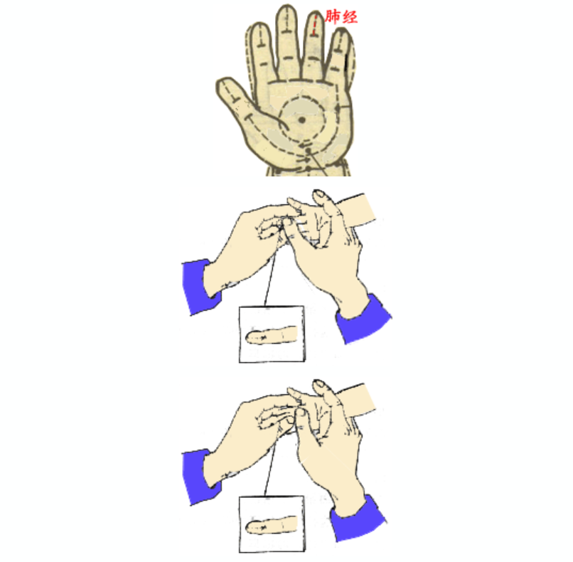 11.png 11.png