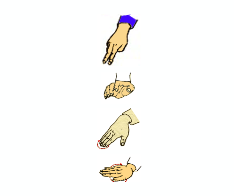 29.png