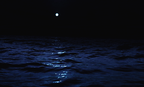 06.gif