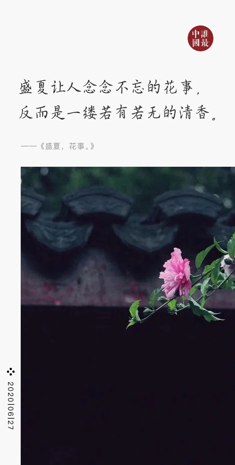 07.webp.jpg