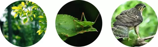 06.webp.jpg
