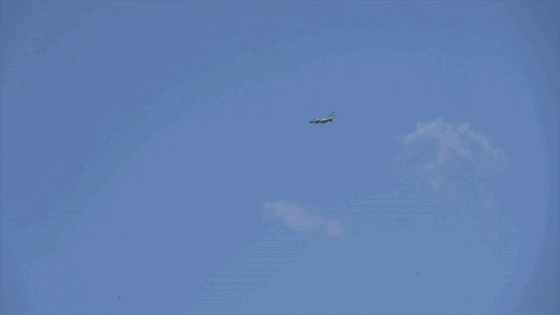 12.gif