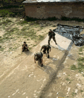 15.gif