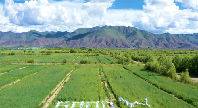 微信截图_20200812162215.png