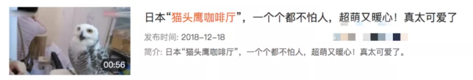 03.png