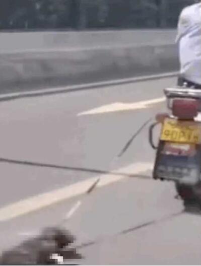 ç·å­éªæ©ææè¡å°çï¼ç½åæäºï¼è­¦æ¹âç´æ­è¿½å¶â