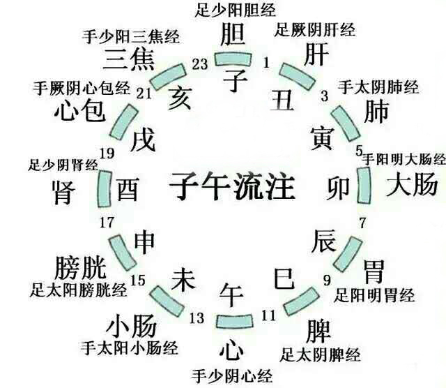 v2-3cf1e4b6bace564e7908b528730c3711_1440w.jpg