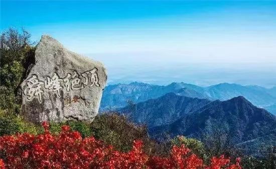 微信图片_20220928171834.jpg