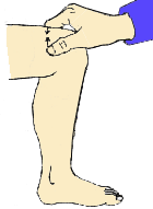 1.gif