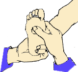 3.gif