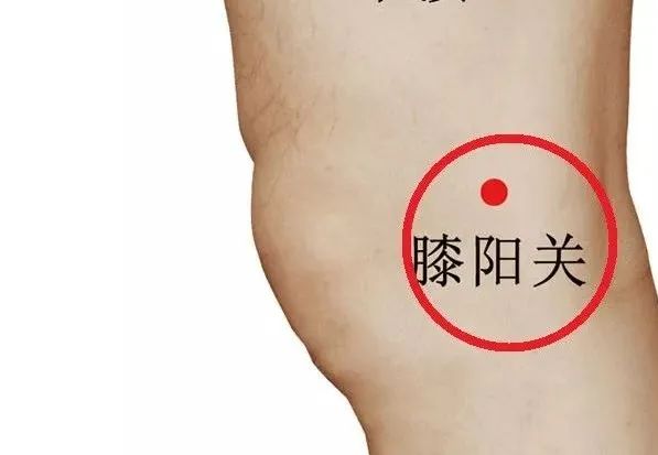 微信图片_20230227165659.jpg