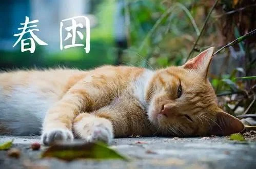 微信图片_20230309084753.png 微信图片_20230309084753.png